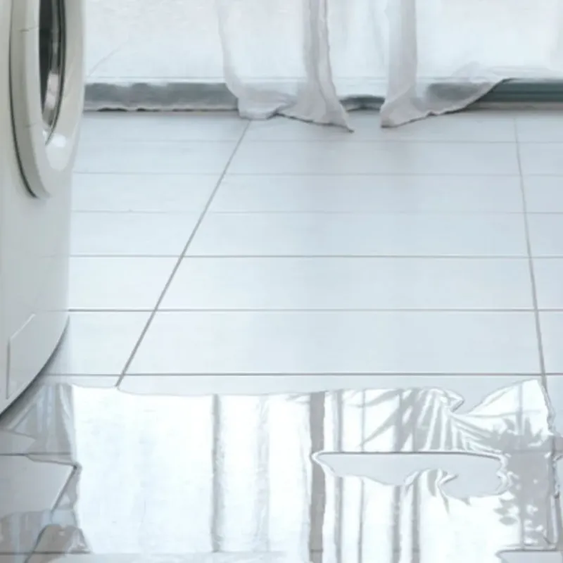 Appliance Leak Cleanup in Lafayette Parish, LA