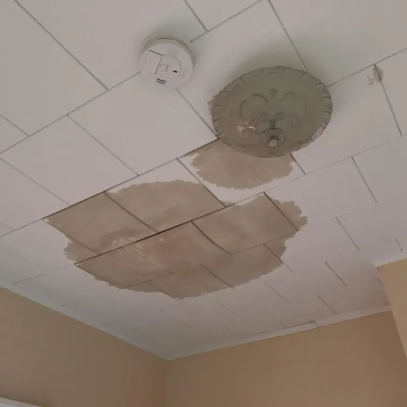 Ceiling Water Damage Repair in Lafayette Parish, LA
